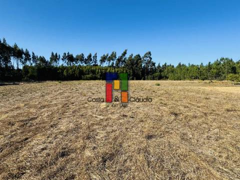 Terreno Urbano  Venda em Mira,Mira