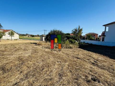 Terreno Urbano  Venda em Mira,Mira