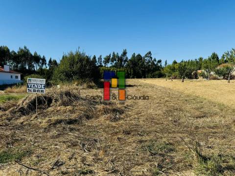 Terreno Urbano  Venda em Mira,Mira