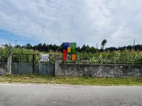 Terreno Urbano  Venda em Mira,Mira