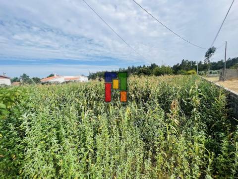 Terreno Urbano  Venda em Mira,Mira