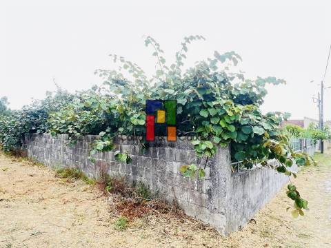 Terreno Urbano  Venda em Mira,Mira