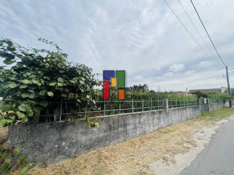 Terreno Urbano  Venda em Mira,Mira