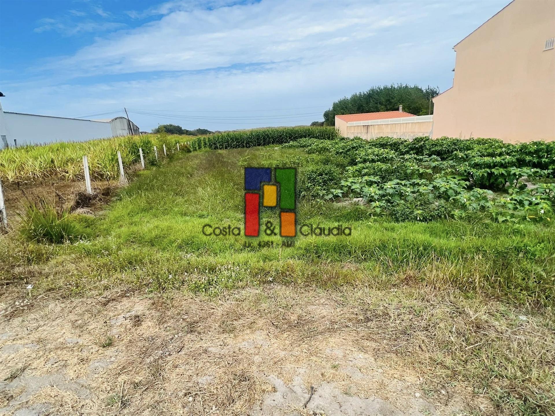 Terreno Urbano  Venda em Praia de Mira,Mira