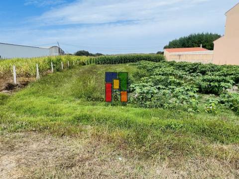 Terreno Urbano  Venda em Praia de Mira,Mira
