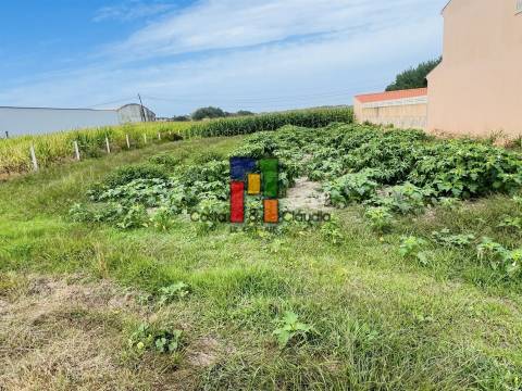 Terreno Urbano  Venda em Praia de Mira,Mira
