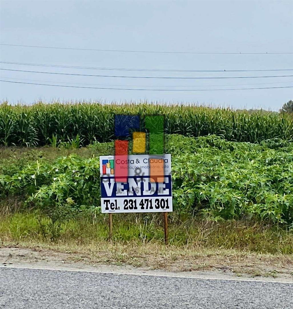 Terreno Urbano  Venda em Praia de Mira,Mira