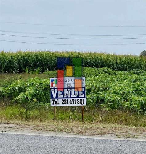 Terreno Urbano  Venda em Praia de Mira,Mira