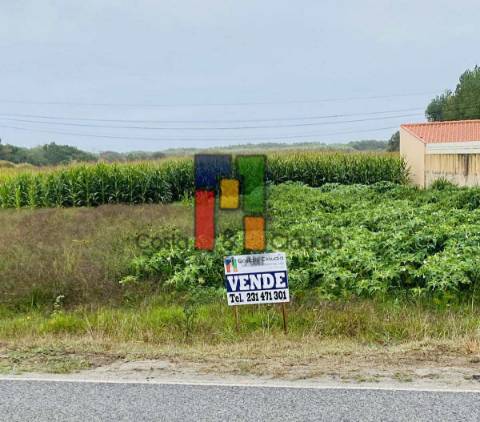 Terreno Urbano  Venda em Praia de Mira,Mira
