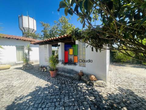 Quintinha T3 Venda em Covões e Camarneira,Cantanhede