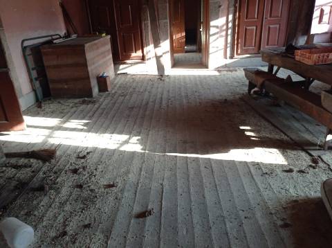 Moradia para Restaurar T7 Venda em Beijós,Carregal do Sal