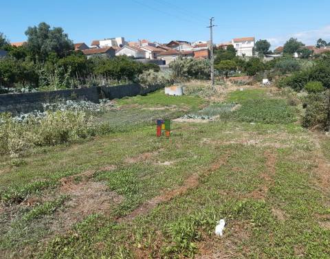 Terreno Urbano  Venda em Casal Comba,Mealhada