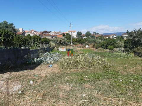 Terreno Urbano  Venda em Casal Comba,Mealhada