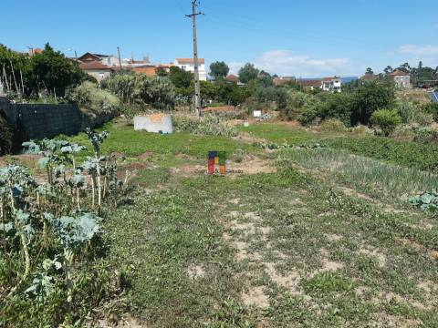 Terreno Urbano  Venda em Casal Comba,Mealhada
