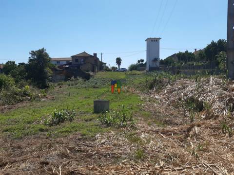 Terreno Urbano  Venda em Casal Comba,Mealhada