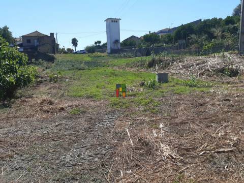Terreno Urbano  Venda em Casal Comba,Mealhada