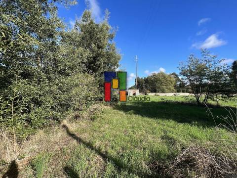 Moradia Devoluta  Venda em Mira,Mira