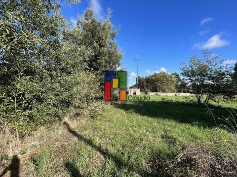 Moradia Devoluta  Venda em Mira,Mira