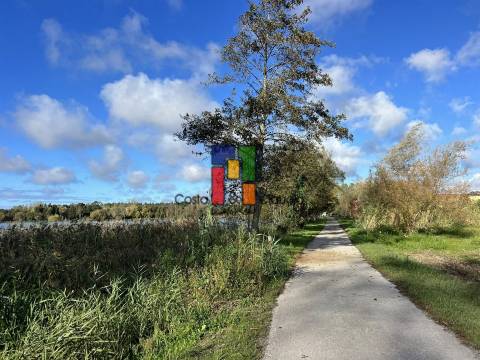 Moradia Devoluta  Venda em Mira,Mira