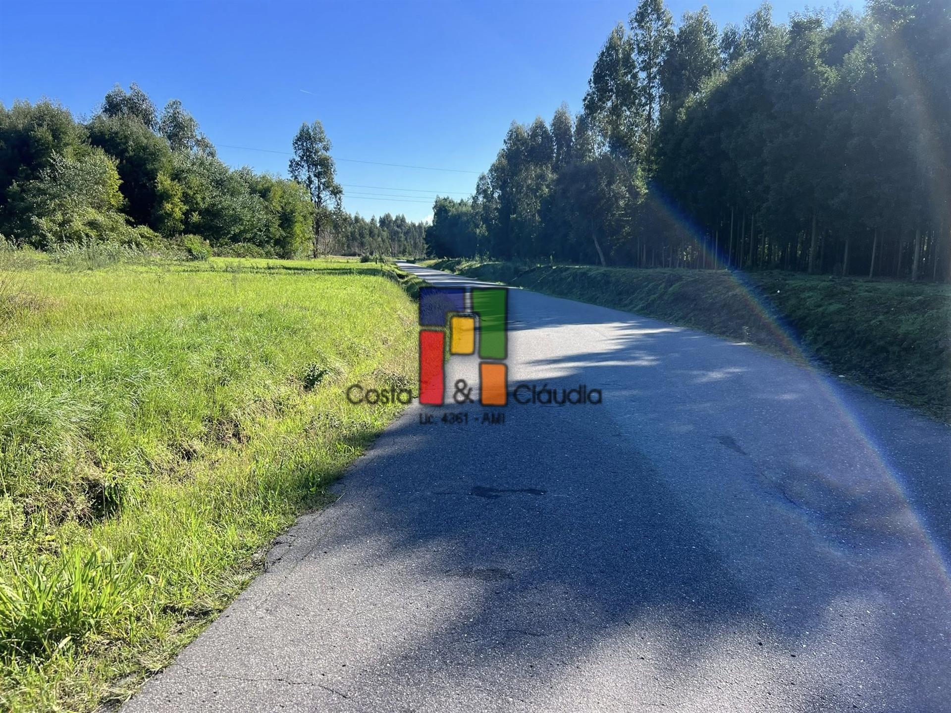 Terreno Urbano  Venda em Mira,Mira