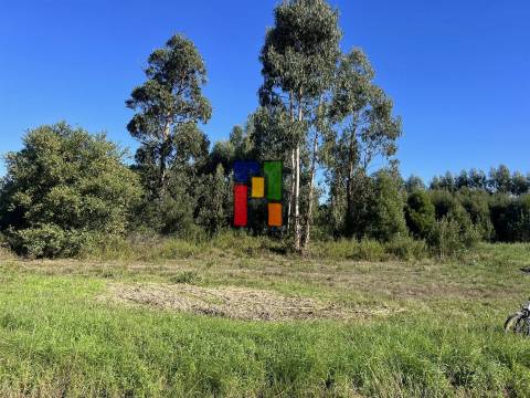 Terreno Urbano  Venda em Mira,Mira