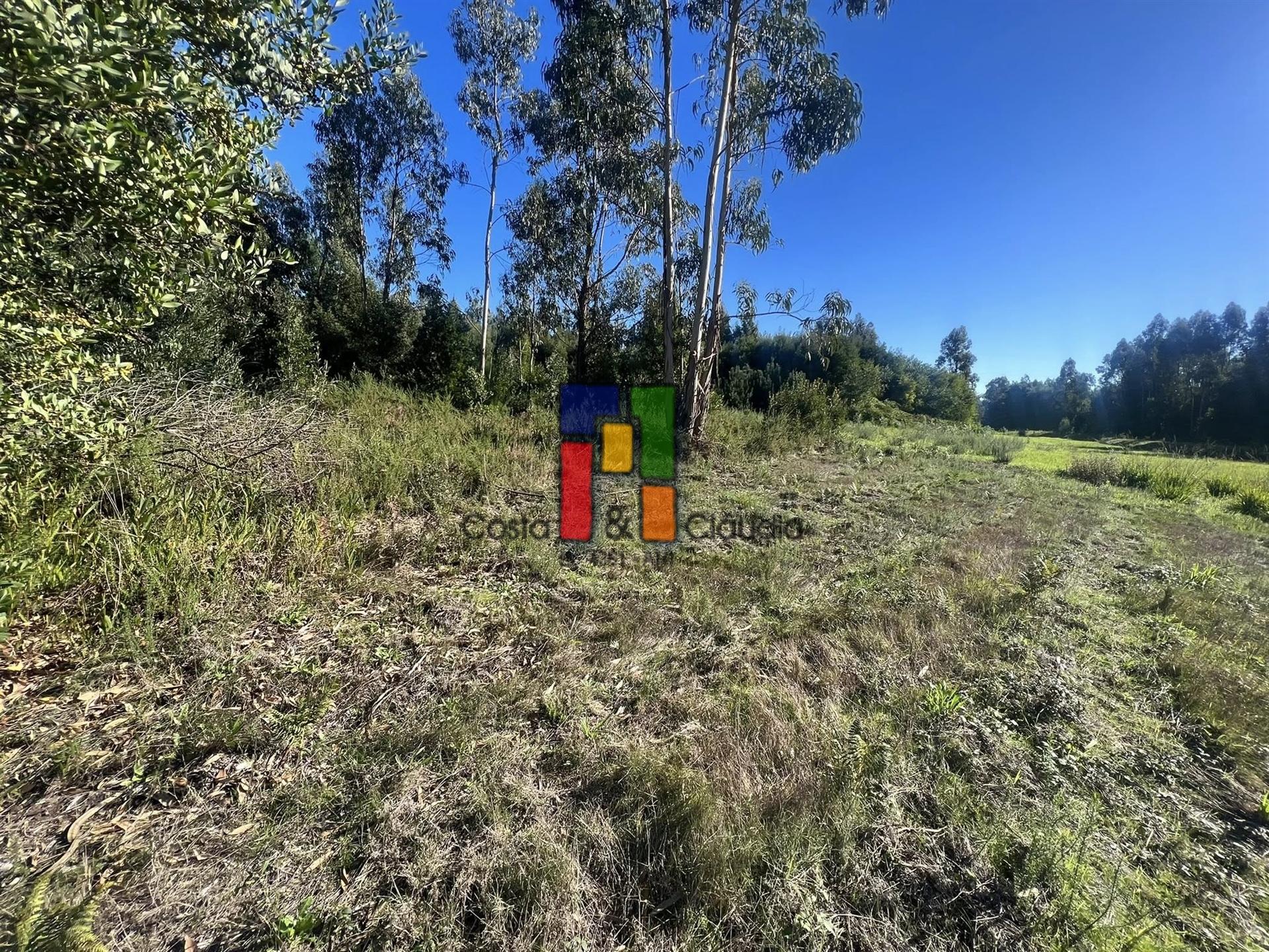 Terreno Urbano  Venda em Mira,Mira