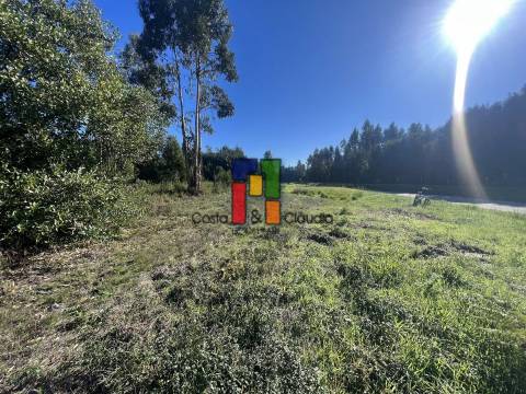 Terreno Urbano  Venda em Mira,Mira