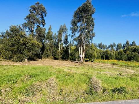 Terreno Urbano  Venda em Mira,Mira