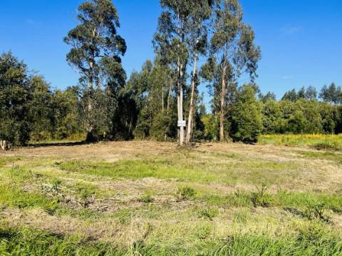 Terreno Urbano  Venda em Mira,Mira