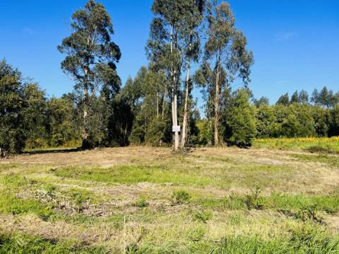 Terreno Urbano  Venda em Mira,Mira
