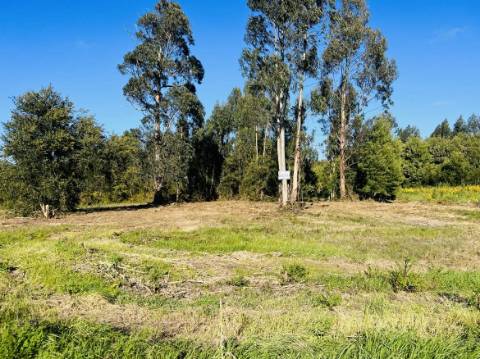 Terreno Urbano  Venda em Mira,Mira