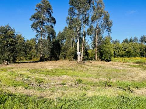 Terreno Urbano  Venda em Mira,Mira