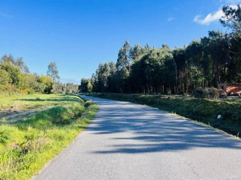 Terreno Urbano  Venda em Mira,Mira