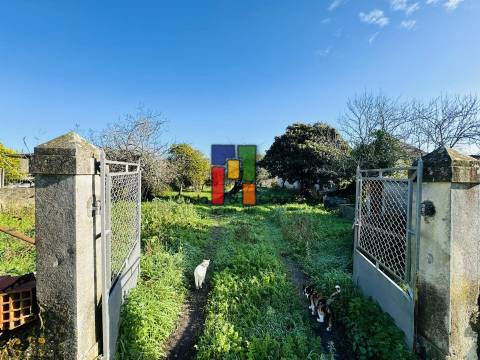 Moradia Rústica T3 Venda em Covões e Camarneira,Cantanhede