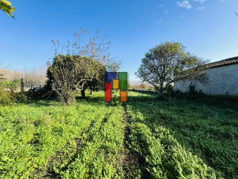 Moradia Rústica T3 Venda em Covões e Camarneira,Cantanhede