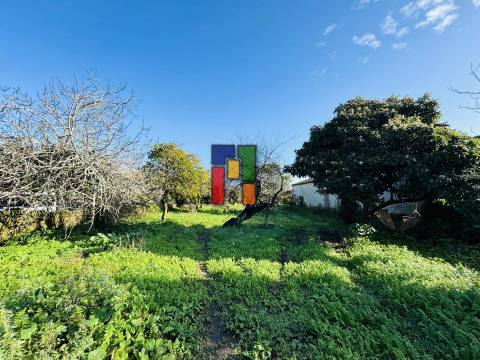 Moradia Rústica T3 Venda em Covões e Camarneira,Cantanhede