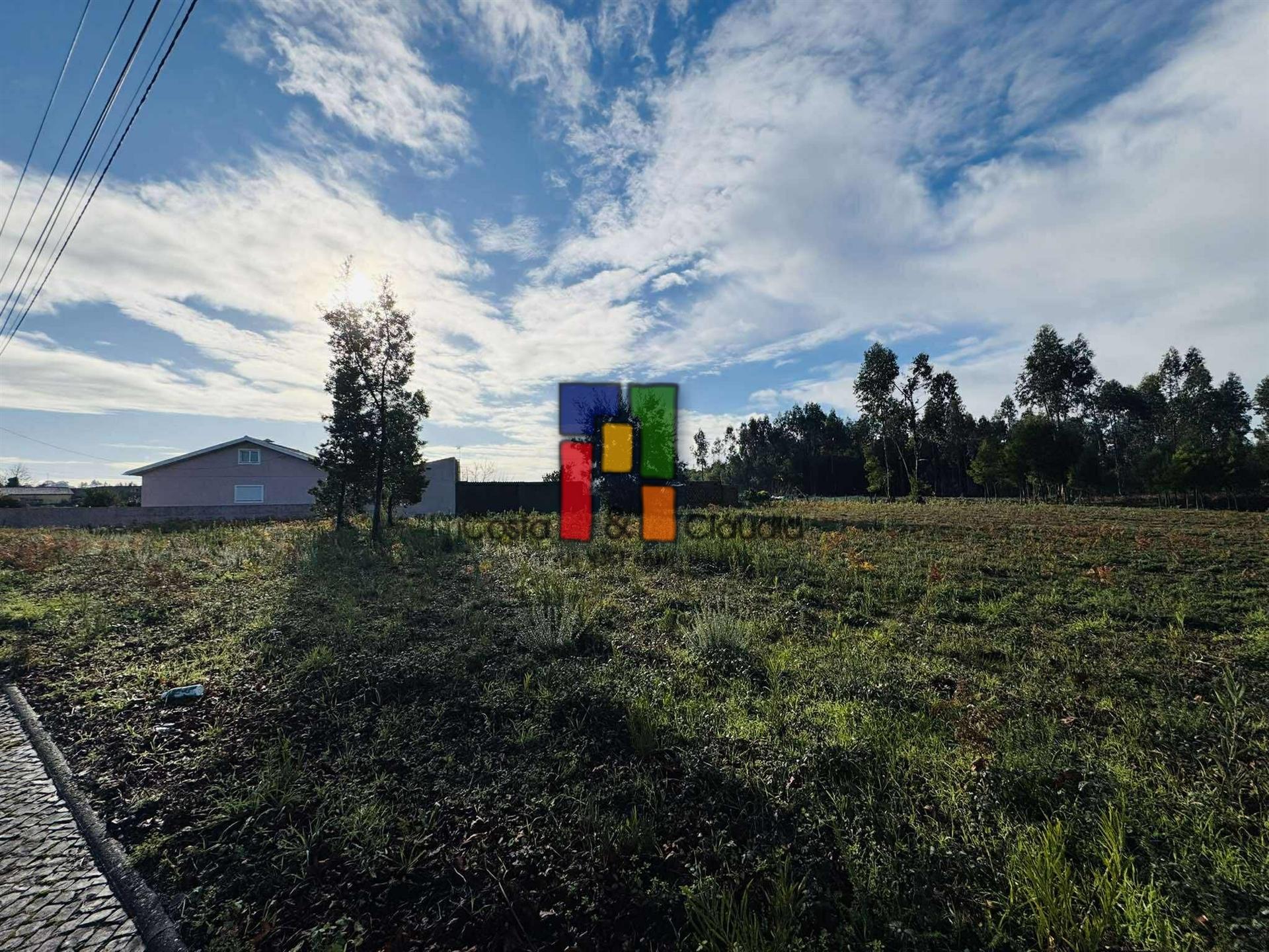 Terreno Para Construção  Venda em Mira,Mira