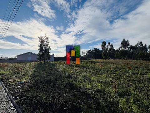 Terreno Para Construção  Venda em Mira,Mira