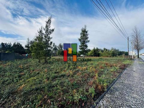 Terreno Para Construção  Venda em Mira,Mira