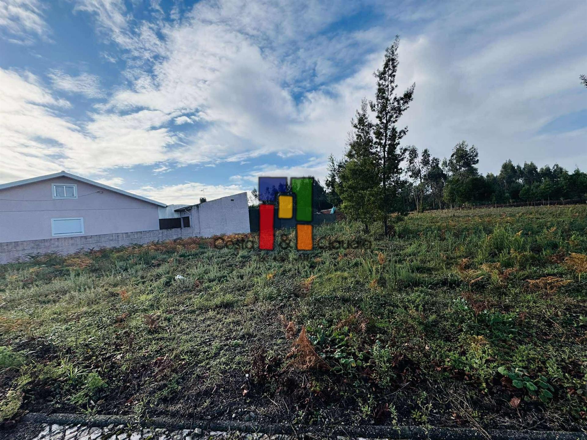 Terreno Para Construção  Venda em Mira,Mira