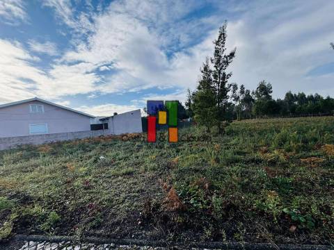 Terreno Para Construção  Venda em Mira,Mira