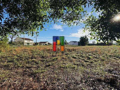 Terreno Para Construção  Venda em Mira,Mira