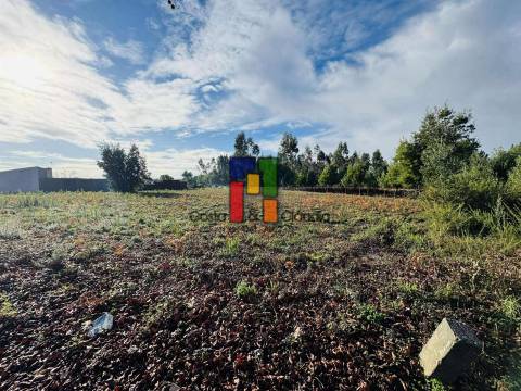 Terreno Para Construção  Venda em Mira,Mira