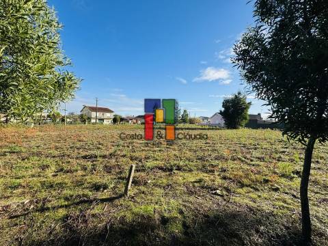 Terreno Para Construção  Venda em Mira,Mira