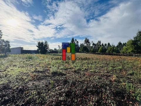 Terreno Para Construção  Venda em Mira,Mira