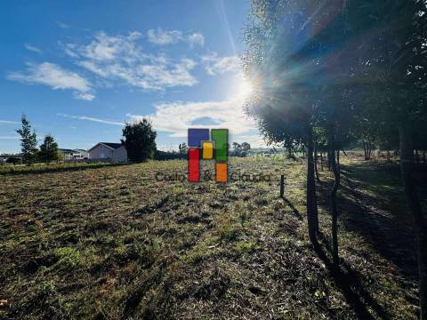 Terreno Para Construção  Venda em Mira,Mira
