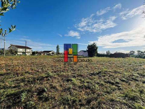 Terreno Para Construção  Venda em Mira,Mira