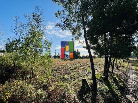 Terreno Para Construção  Venda em Mira,Mira