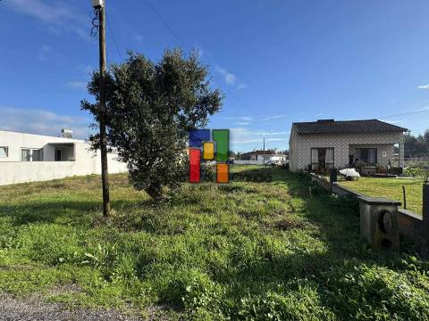 Terreno Para Construção  Venda em Mira,Mira