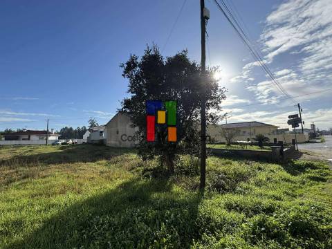 Terreno Para Construção  Venda em Mira,Mira